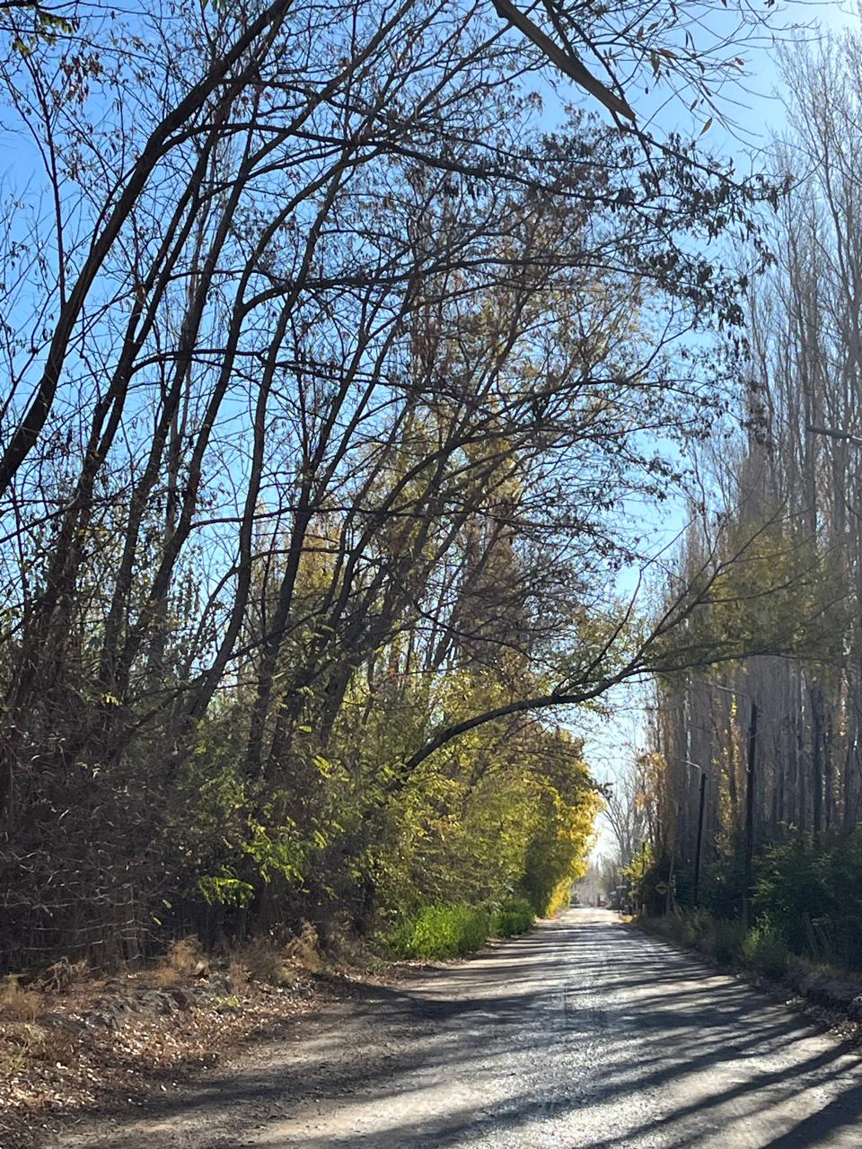 TERRENO EN VENTA EN BARRIO JUDICIALES | 200 M² –  OPORTUNIDAD DE INVERSIÓN